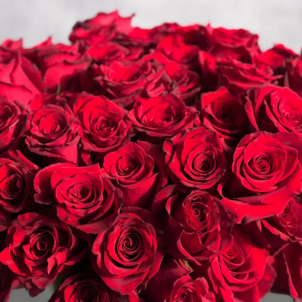 Kiss from a Rose arrangement with up to 75 fresh roses in a minimalist 7-inch glass vase lined with leaves, measuring 14 inches tall and 15 inches wide.