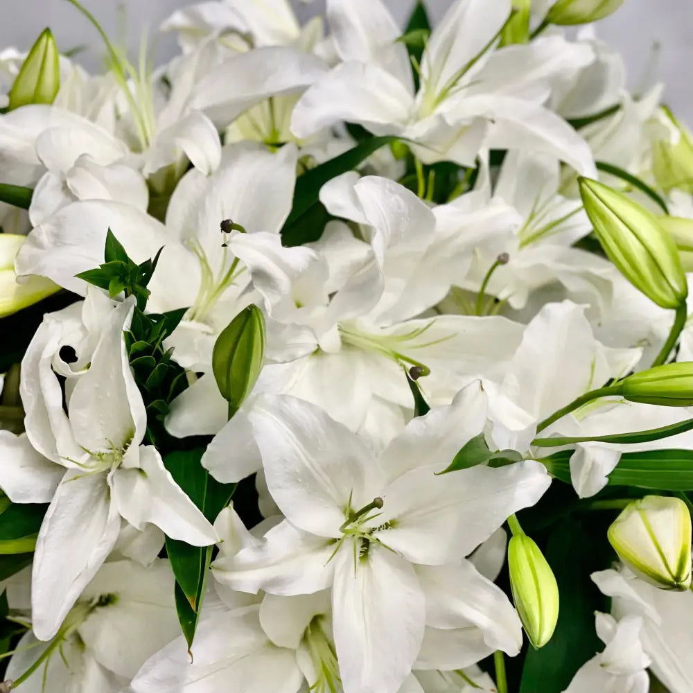 Tall long stem Casablanca lilies arranged in a glass vase with same-day delivery in Beverly Hills