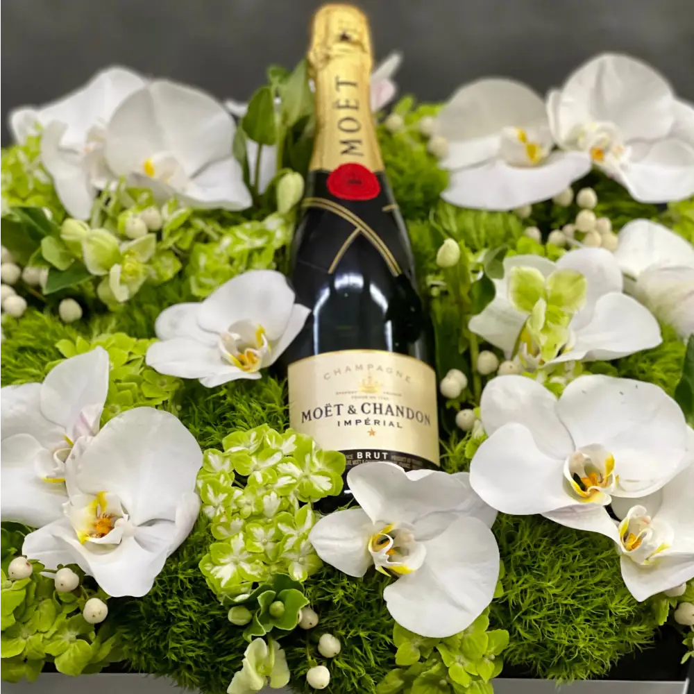 Beverly Hills Florist presents this luxury Moet floral box with orchids and other locally sourced flowers. 24 inch square box