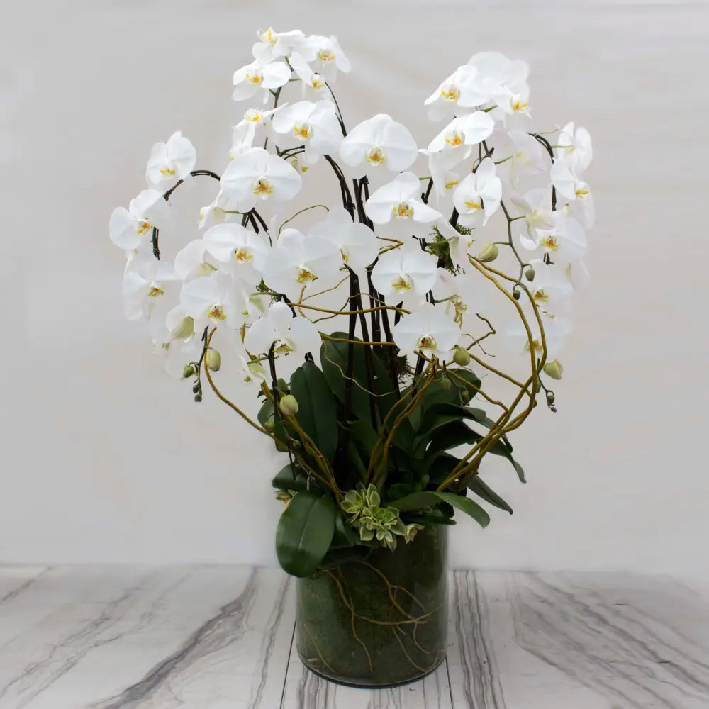 Ms. Bey - beverlyhillsflorist