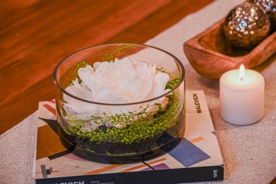 Minimalist white peony arrangement in a circular glass vase with greenery and polished rocks, ideal for tranquility.