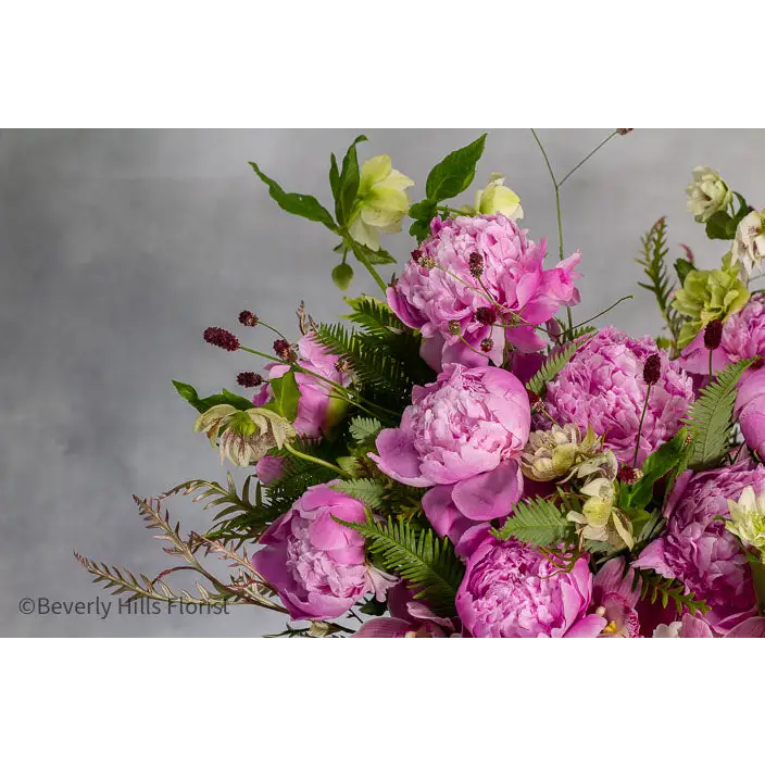 Elegant Floral Fusion arrangement with peonies, cymbidium orchids, and white hydrangeas in a tall glass vase – available for same-day delivery by Beverly Hills Florist.