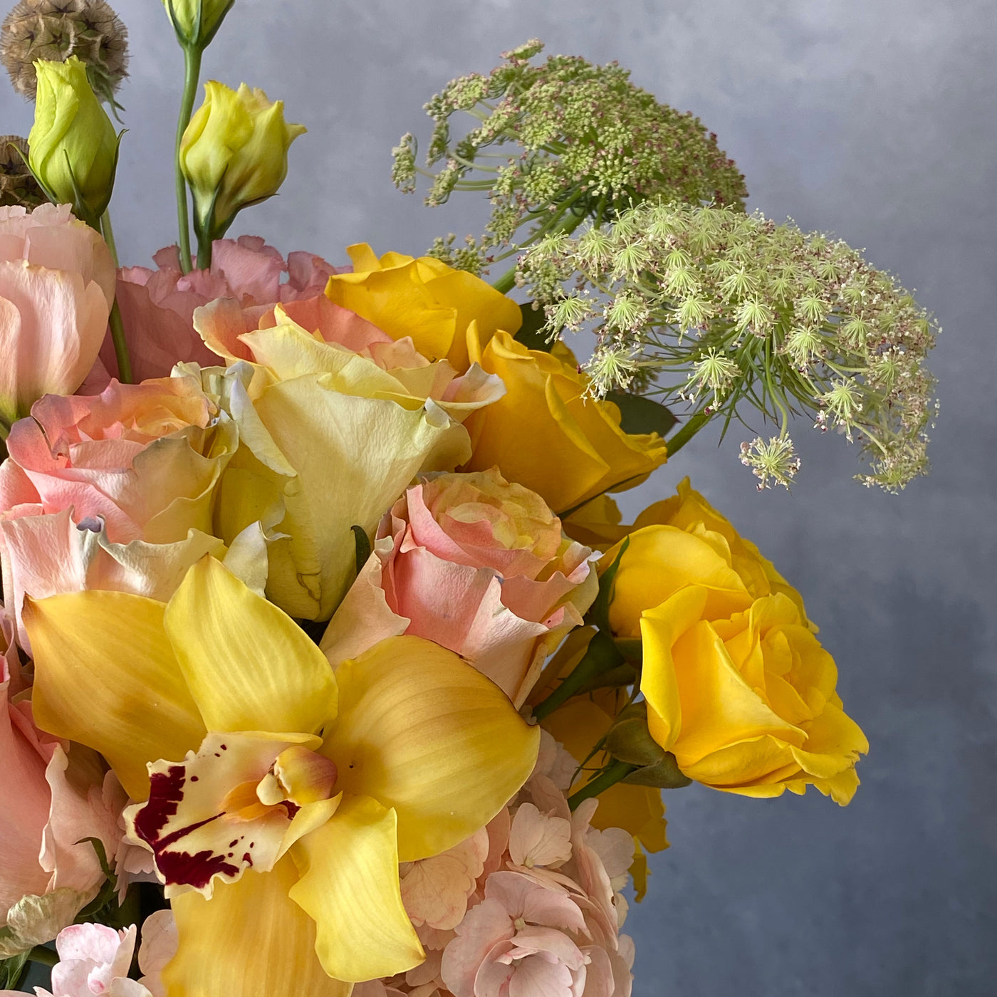 Designers Choice - Yellow and Pink