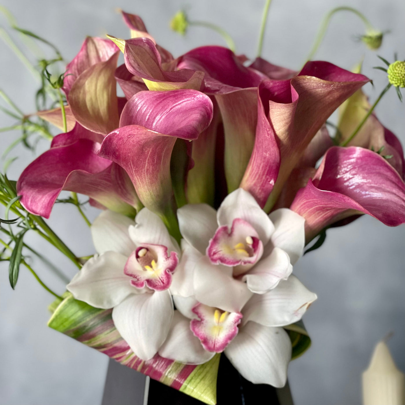 pink Calla Lilies  and Locally organic Flowers 