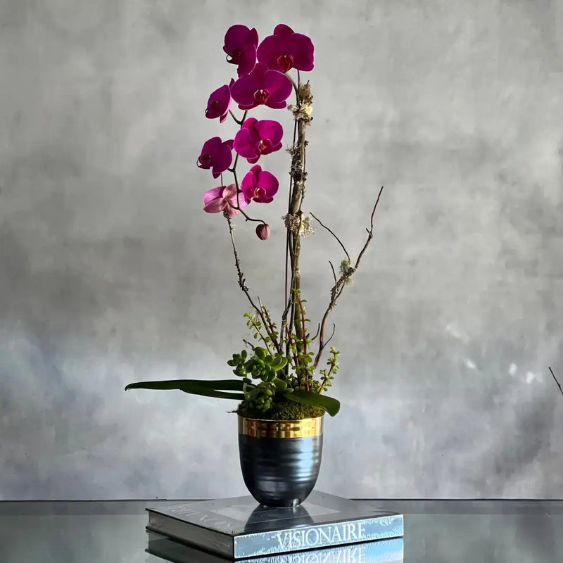 Purple Orchid Ovation arrangement | Beverly Hills Florist