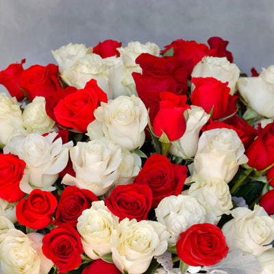 Valentines - Red & White Checker Roses