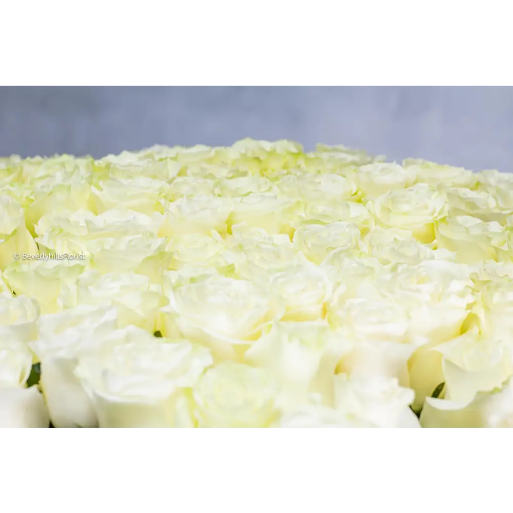 Regal Roses, Orchids & Peonies - beverlyhillsflorist