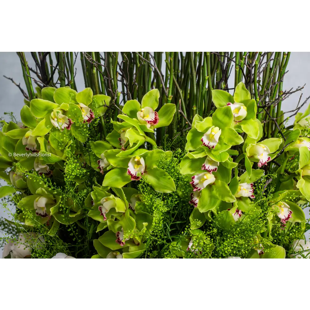 Regal Roses, Orchids & Peonies - beverlyhillsflorist
