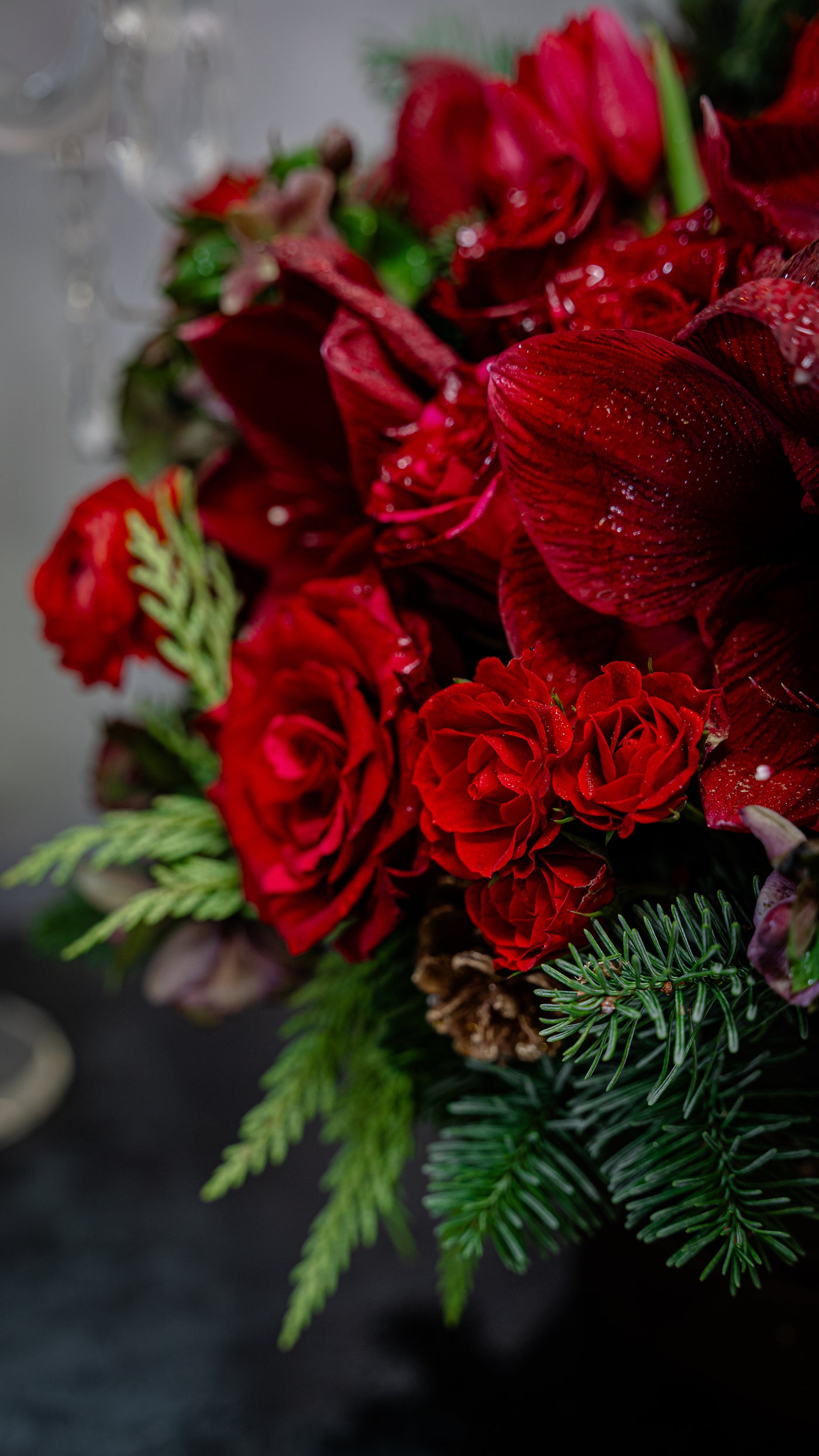 Round Christmas Gift Box with roses, amaryllis, thistle, tulips, orchids, seasonal greens, berries, pine cones, and champagne, available for same-day delivery in Los Angeles.