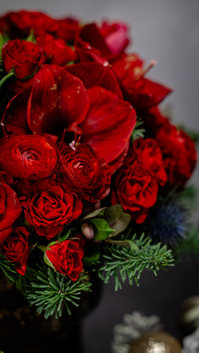 Round Christmas Gift Box with roses, amaryllis, thistle, tulips, orchids, seasonal greens, berries, pine cones, and champagne, available for same-day delivery in Los Angeles.