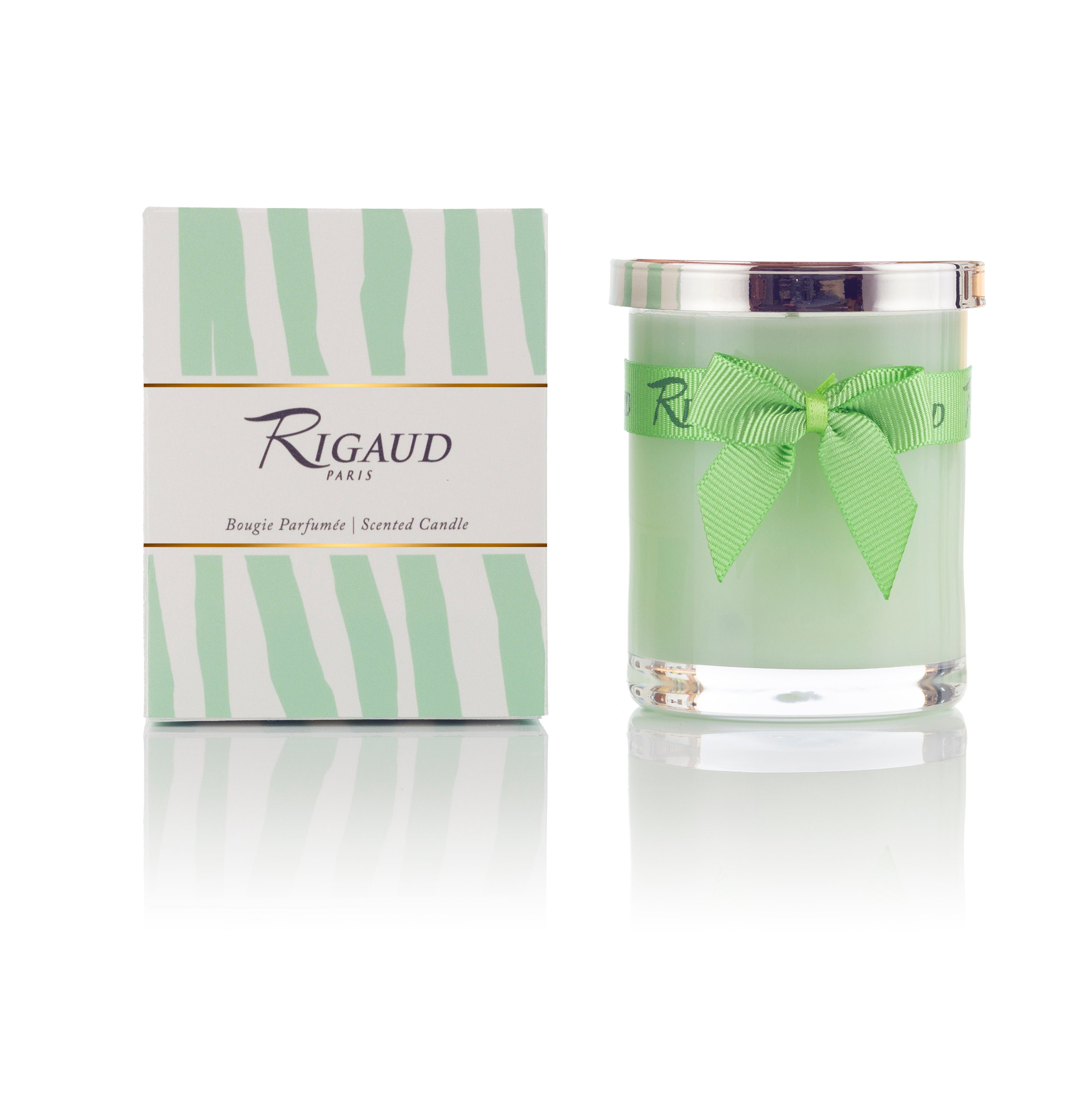 Jasmin De Printemps Small