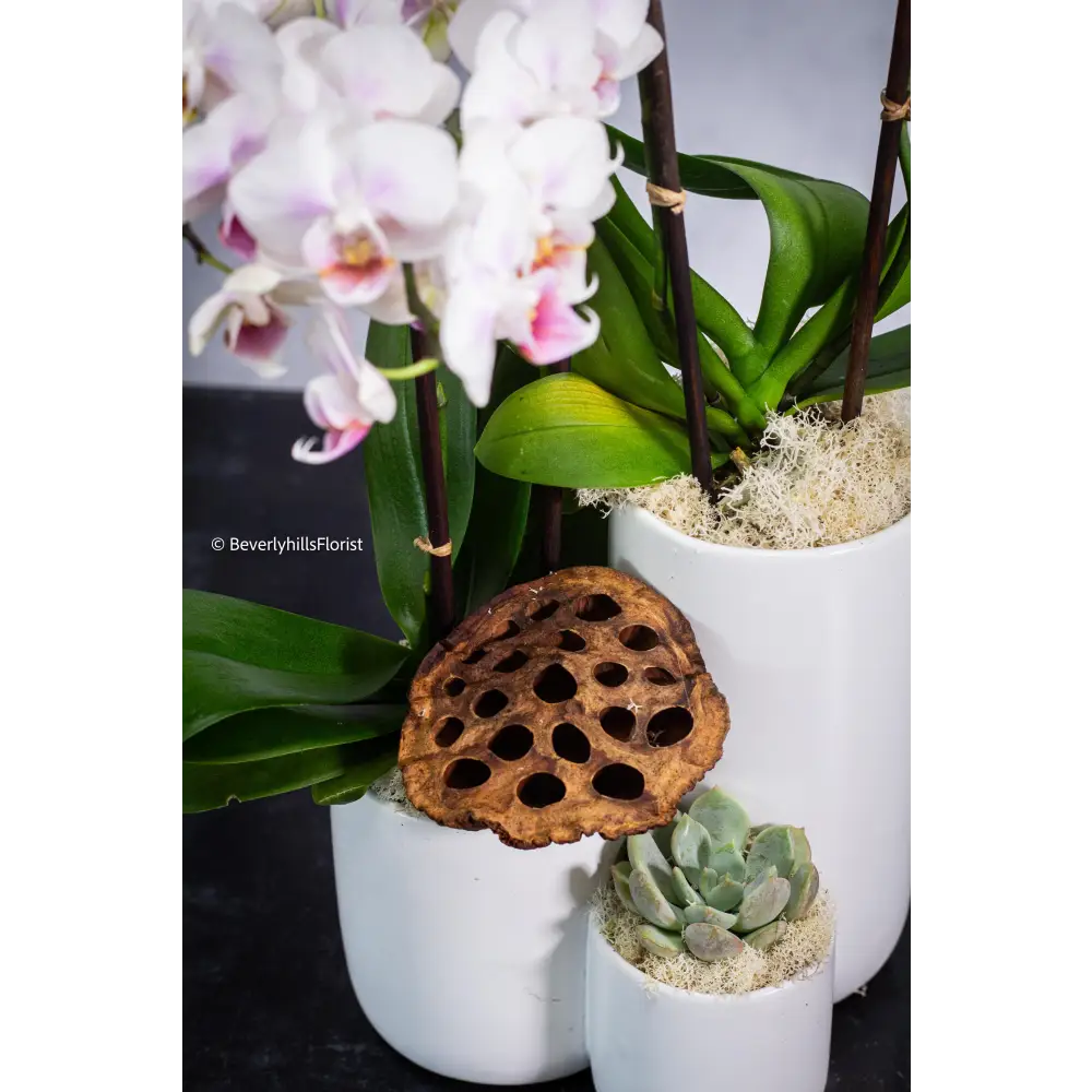 Step by Step - beverlyhillsflorist