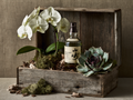 The Tokyo Reserve Japanese whisky with white orchid and succulents in barnwood gift box