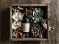 The Noir Collection dark wine with white phalaenopsis orchids in weathered wood crate