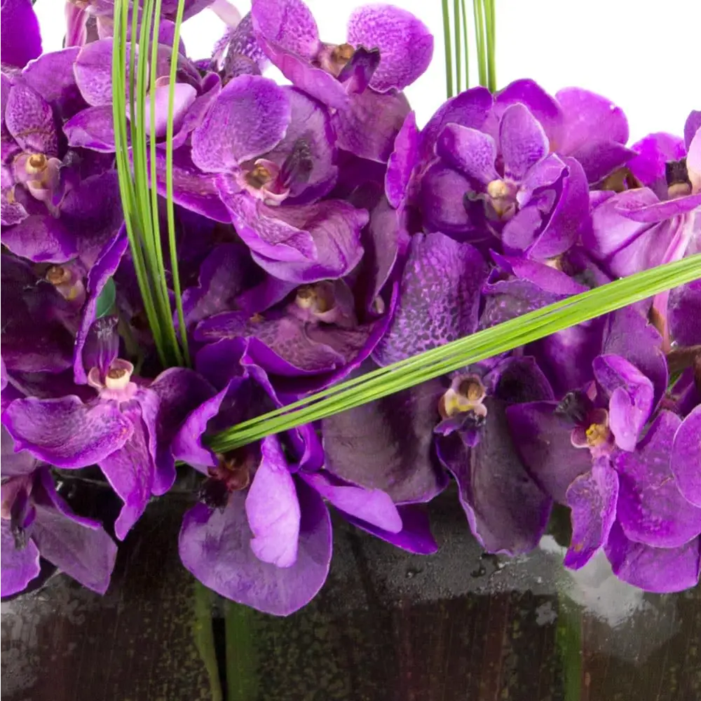 Whimsical Vandas - beverlyhillsflorist