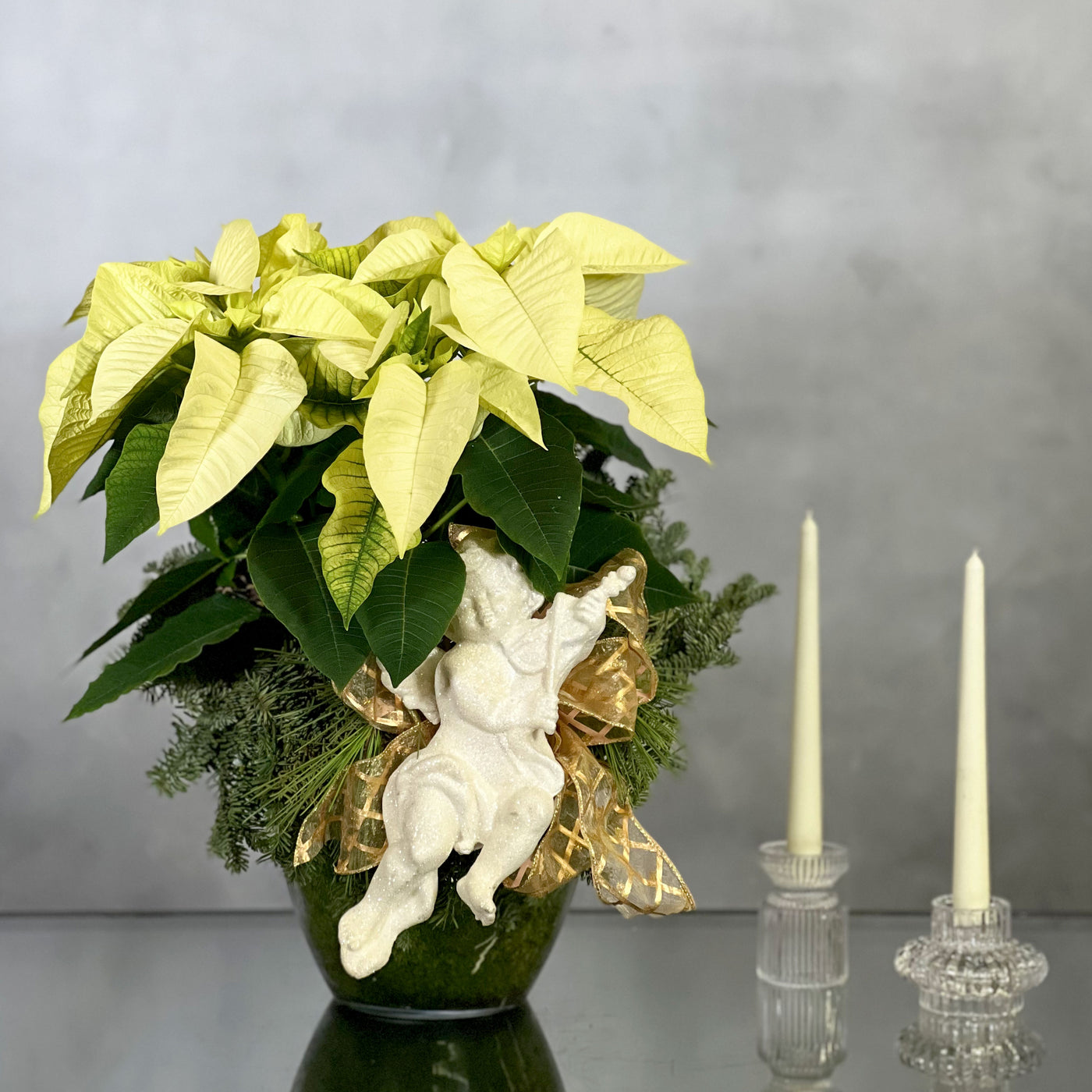 White Poinsettia Fantasy featuring a white poinsettia with lush green foliage, perfect for holiday decor, available for same-day delivery by Beverly Hills Florist.