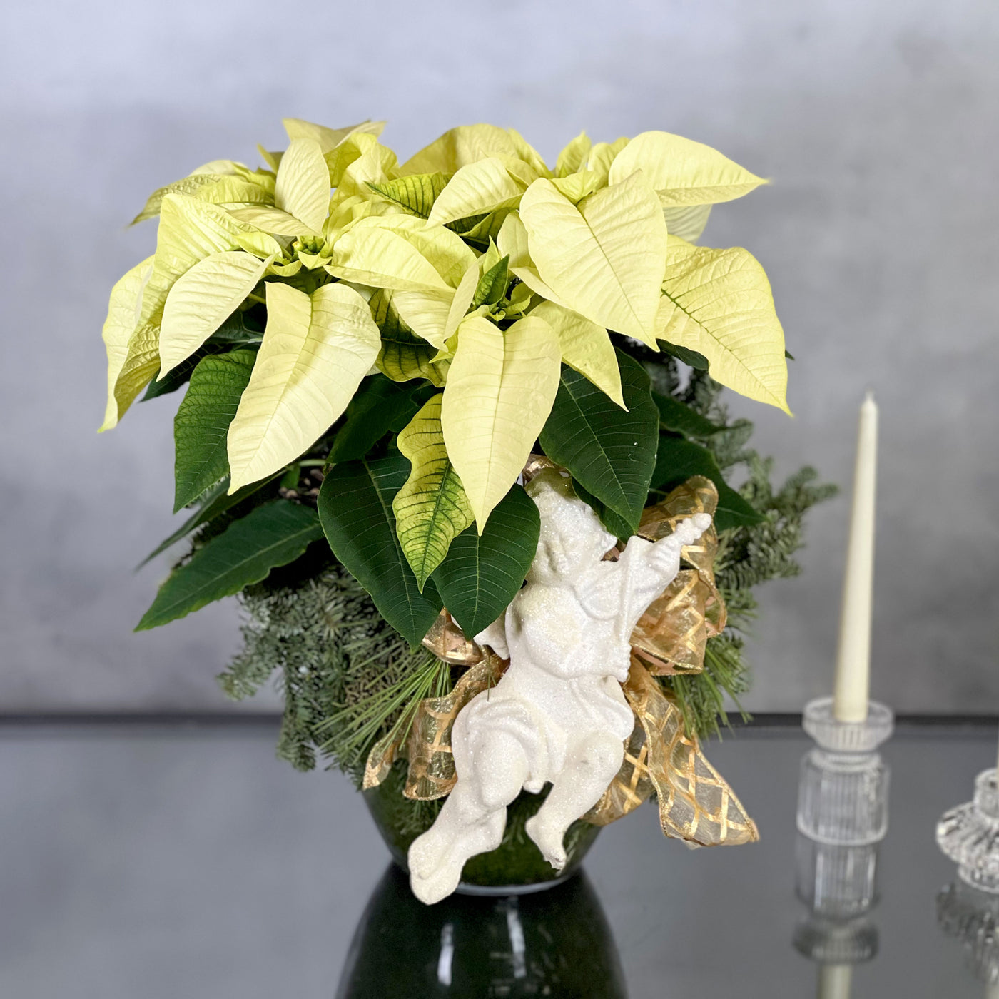 White Poinsettia Fantasy featuring a white poinsettia with lush green foliage, perfect for holiday decor, available for same-day delivery by Beverly Hills Florist.