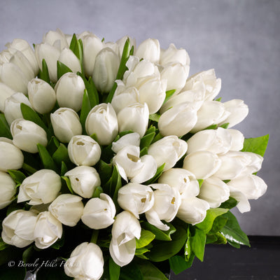 White Tulips in Crystal Splendor