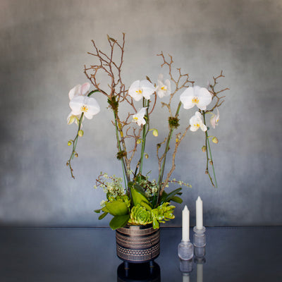 White Orchids on pedestal