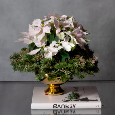 Winter White Poinsettia featuring a white poinsettia in an elegant vase, available for same-day delivery by Beverly Hills Florist.