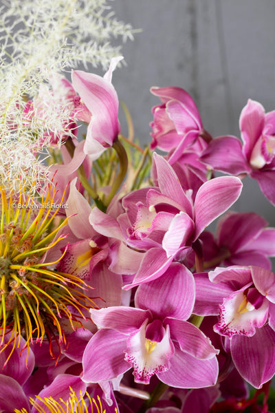 Vivid Orchids