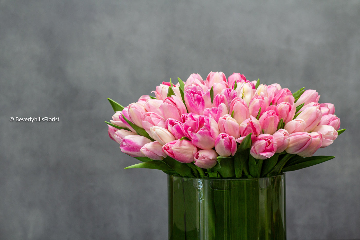 Tulip Dreamscape - beverlyhillsflorist