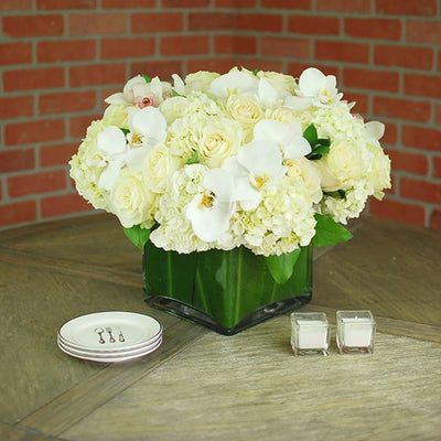 Ivory Chiffon - beverlyhillsflorist