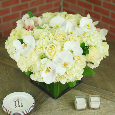 Ivory Chiffon - beverlyhillsflorist