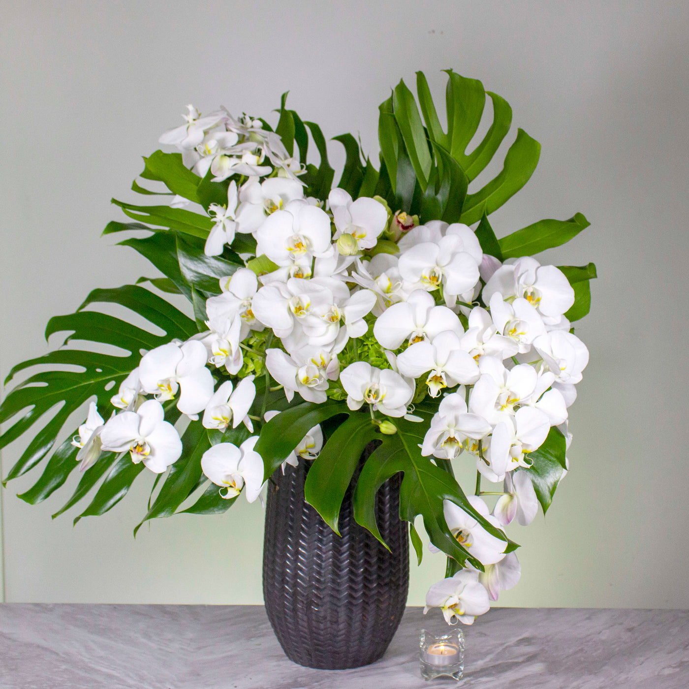Springs of Life - beverlyhillsflorist