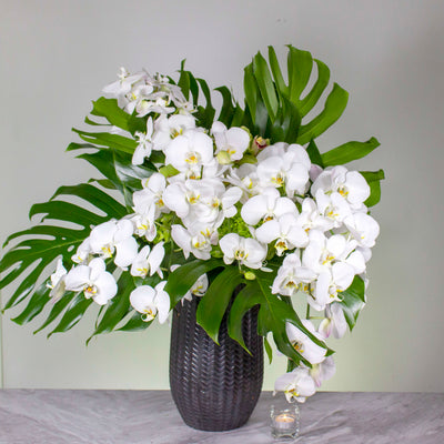 Springs of Life - beverlyhillsflorist