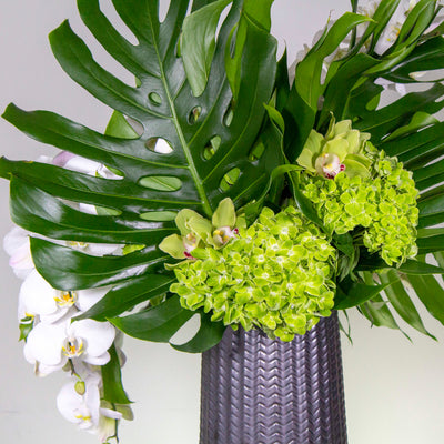 Springs of Life - beverlyhillsflorist