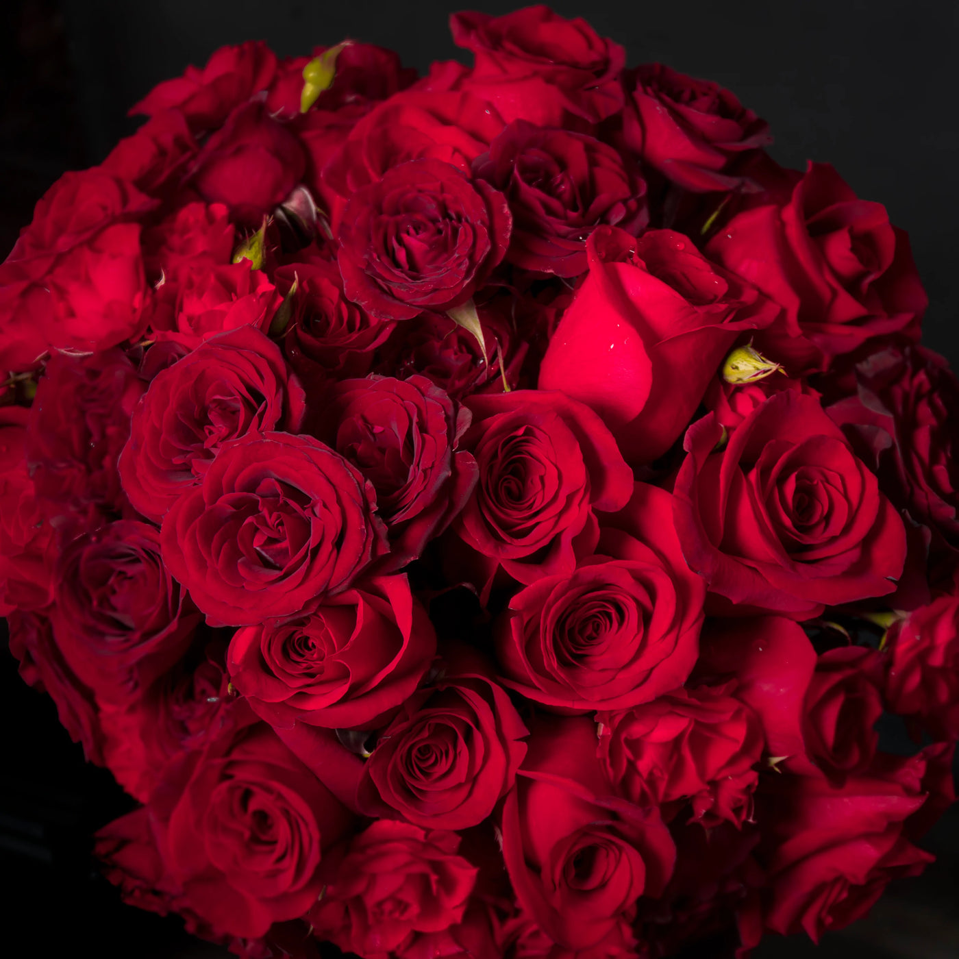 Valentines - Crimson Reds