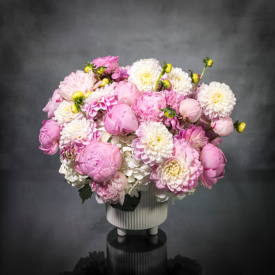 The elegant mix of pink Peonies and light pink dahlias in a modern white footed vase satisfies any mood, from playful to polite, making it the ideal gift for yourself or someone who deserves a little extra attention. Beverly Hills Florist presents same day delivery ! This marvelous piece is perfect for a birthday or a thank you ! Based on the season blooms may vary. 