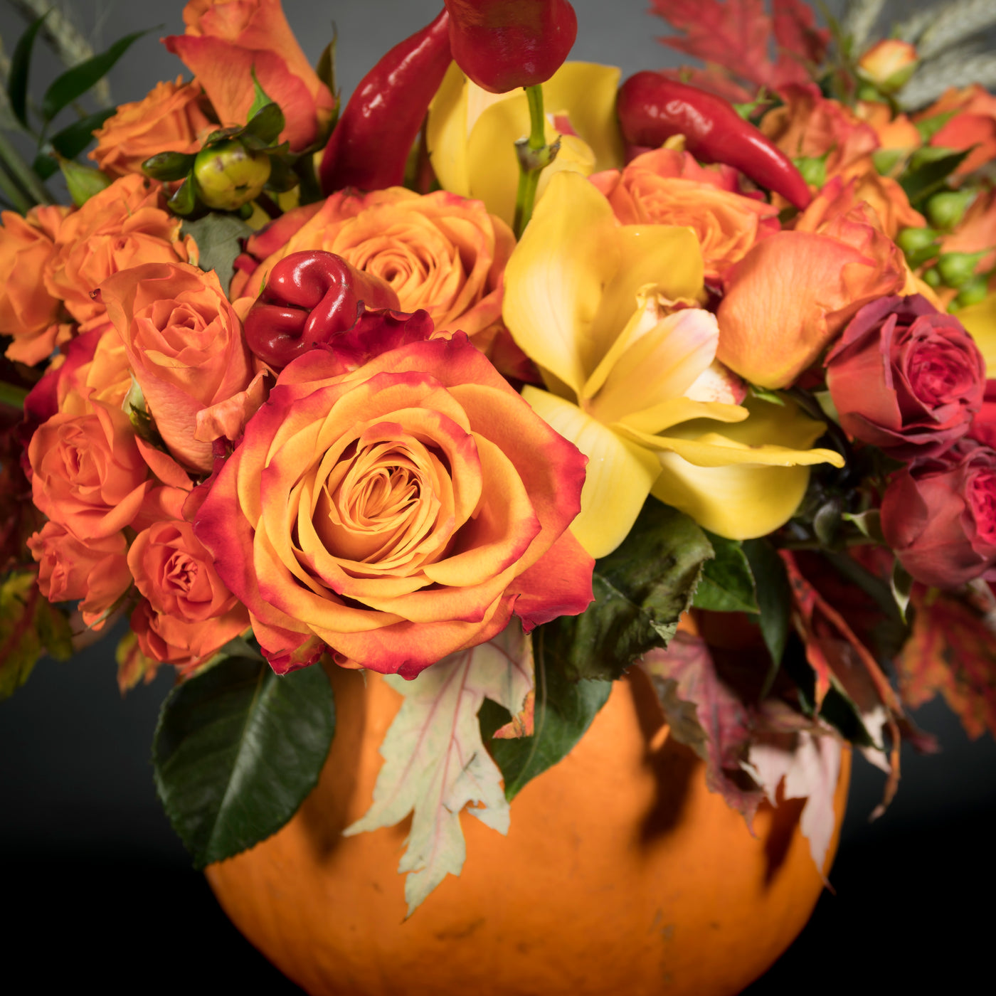 Splashing Pumpkin - beverlyhillsflorist