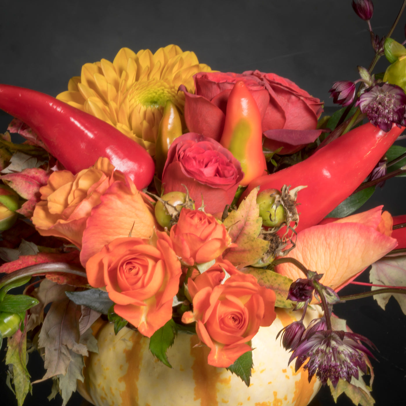 Pumpkin Chilli Spice - beverlyhillsflorist