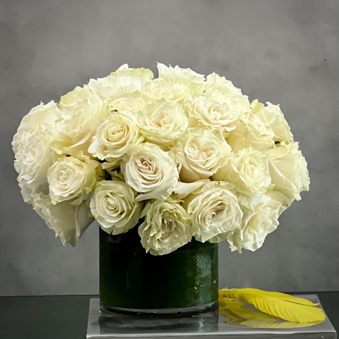 Beverly Hills Florist presents this simplicity, pure, and elegant white roses in a classic 5x5 glass vase. Specialty premium white Ecuadorian roses are clustered in a fresh, full and delicate arrangement.  Standard: 2 Dozen Roses as pictured 6 inch  Deluxe As Shown: 4 Dozen Roses Premium: 8 Dozen Roses 8" 