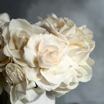 Cream Reflexed Roses