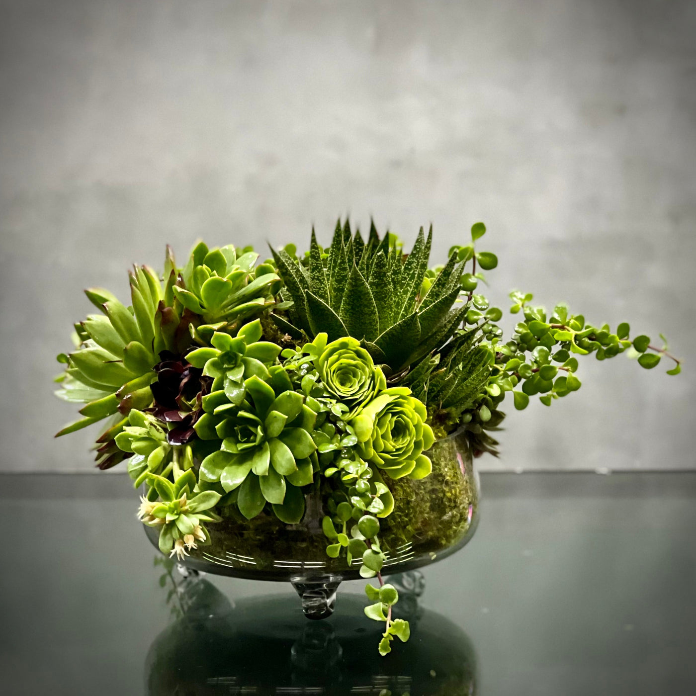 Beverly Hills Florist offers our green With Envy for same day delivery ! This green spectacular mix of succulents in a modern mossed filled clear footed vase. Making for a wonderful and simplistic get well, birthday or for him arrangement. 