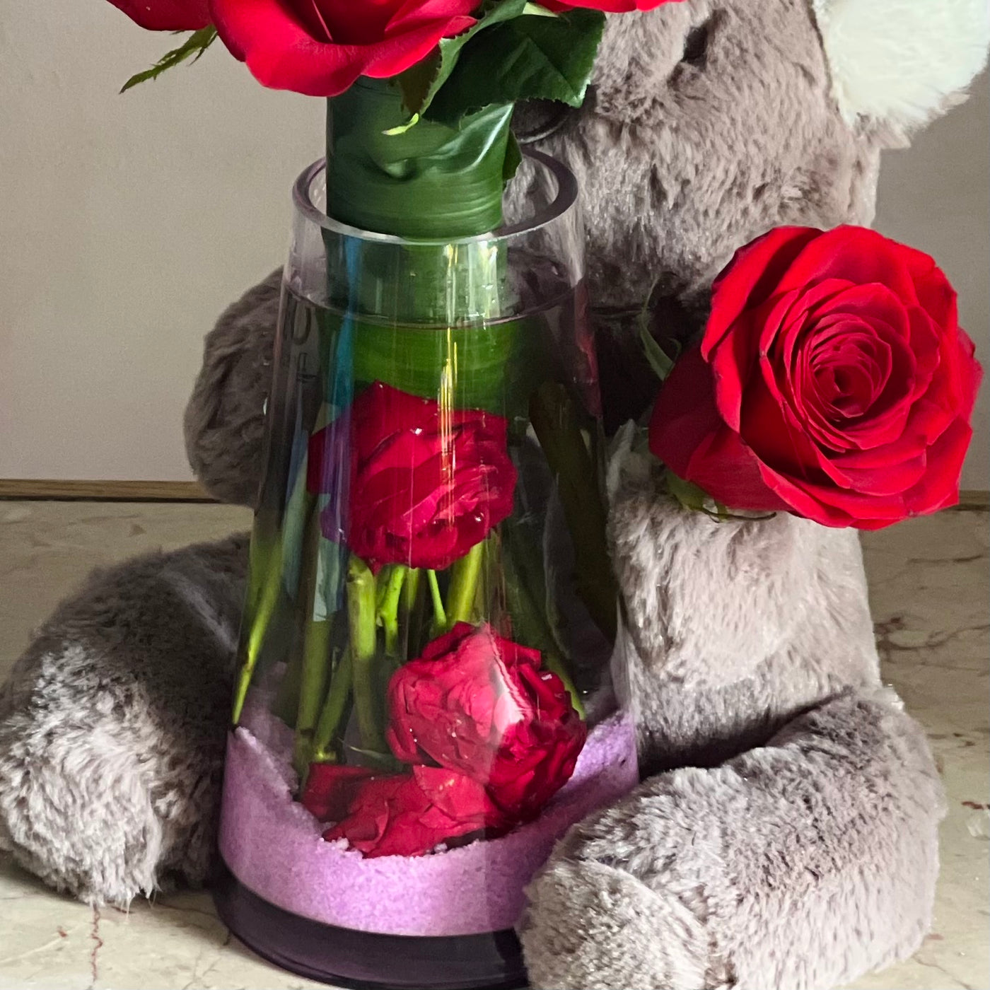 Koalaty Love