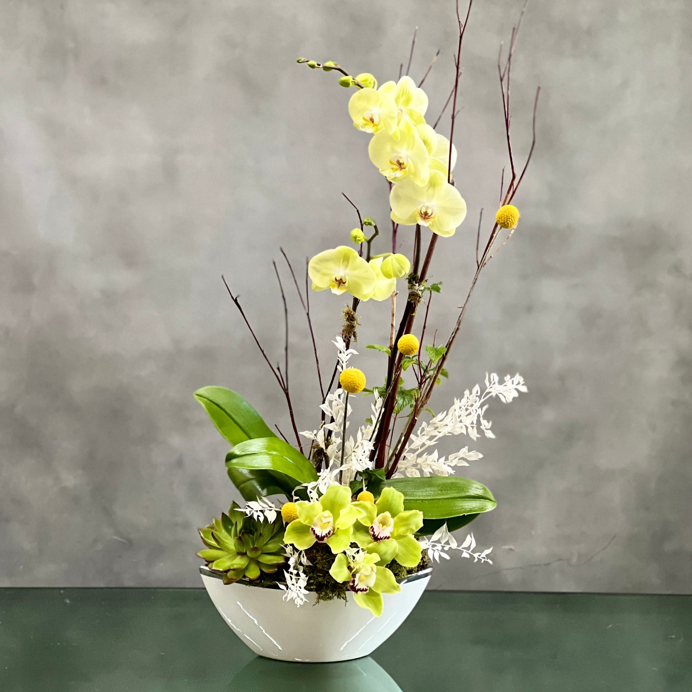 Lovely, graceful, and exotic Beverly Hills Florists presents same day delivery for Lemonade Orchids. Our Orchids with long, delicate stems that reach up to their striking wing-shaped blooms, these stunning beauties will add warmth & radiance to any space. Beautifully potted for a Birthdays, Thank you, Get well and Congratulations. Potted inside a white modern ceramic pot along with succulents, this unique gift is one they’ll enjoy for a long time to come. Approx: 24" H