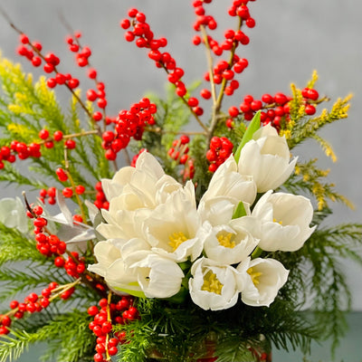 Small Christmas Tulip mix - beverlyhillsflorist