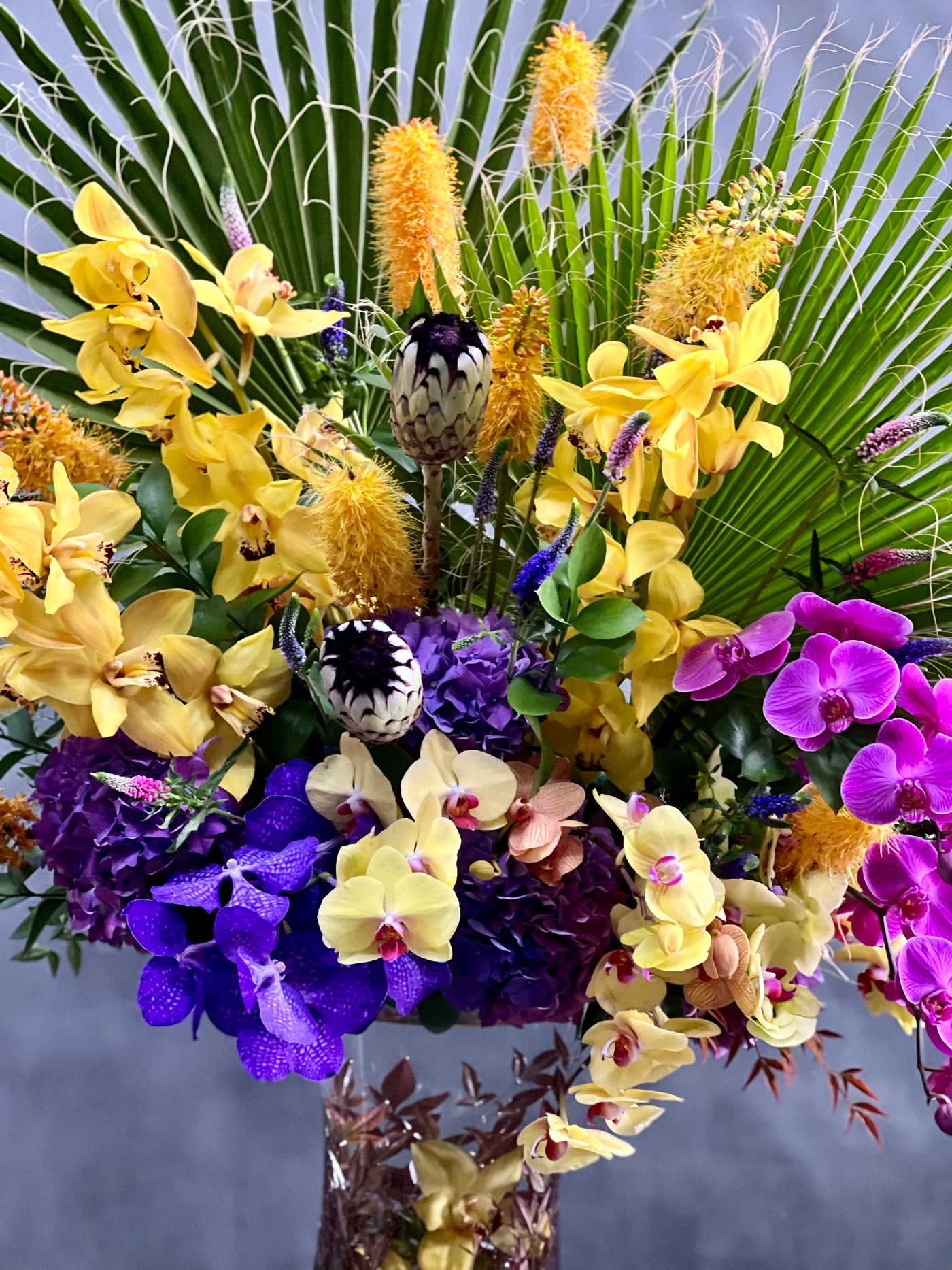 Orchids in Nature