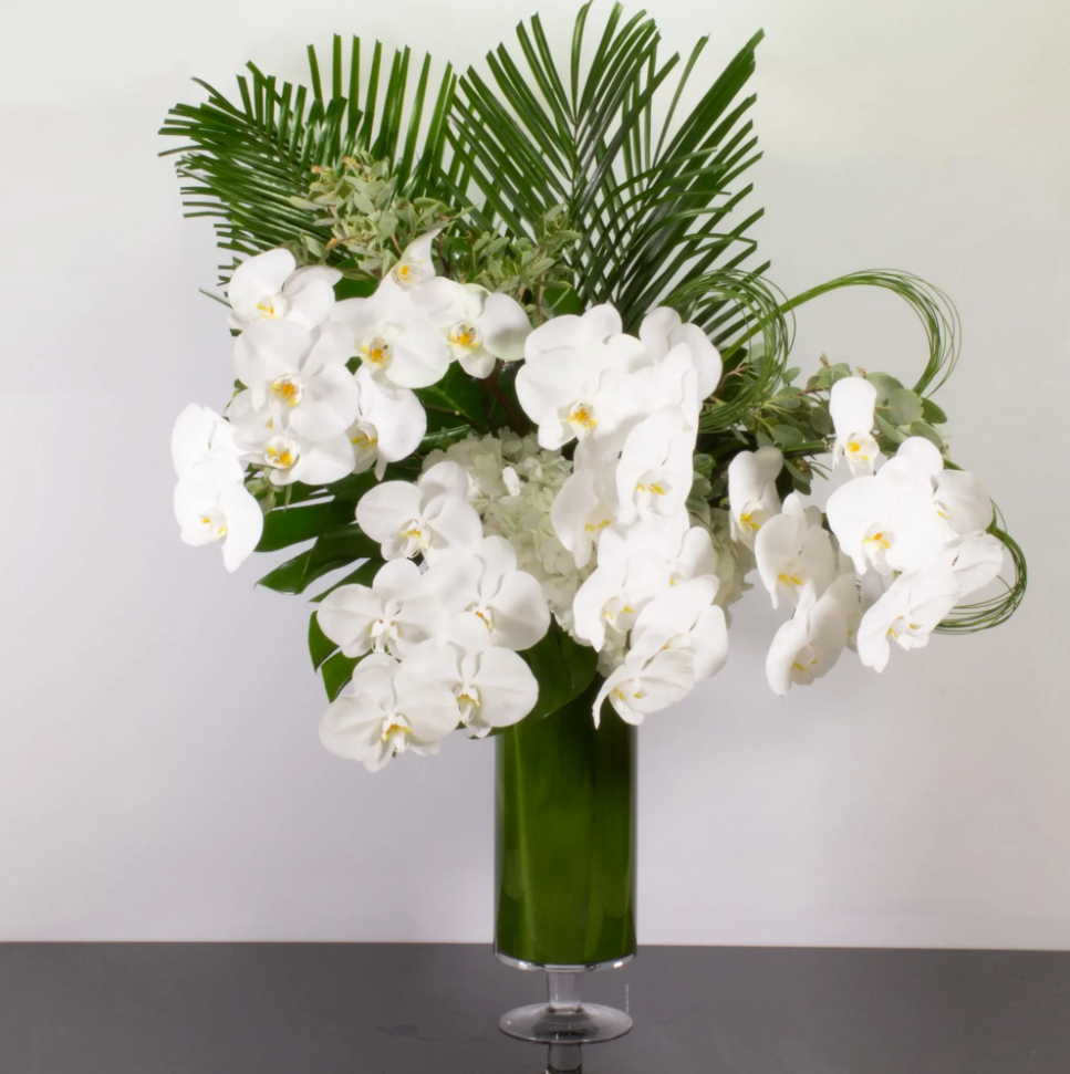 Tropical Orchid Elegance - beverlyhillsflorist