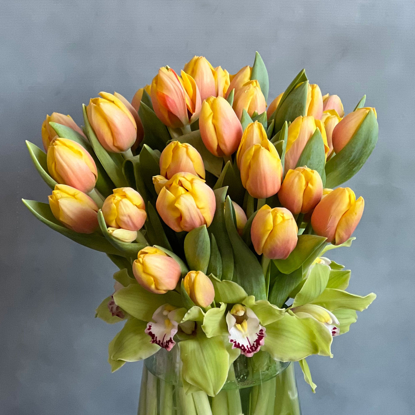 Spring Tulip Mix