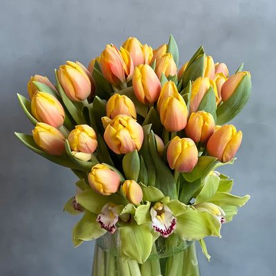 Spring Tulip Mix