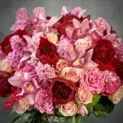 Vivid - beverlyhillsflorist