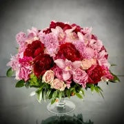 Vivid - beverlyhillsflorist