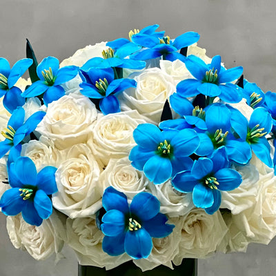 Our team at Beverly Hills Florist presents same day delivery for our Enchanting arrangement. Beautifully arranged in a glass vase are approximately 50 White Roses and 40 Blue Tulips placed in a 6x6 glass vase. Enchanted is the perfect floral piece that will brighten up wherever it is placed ! As pretty as it looks, our enchanted arrangement makes for a wonderful birthday gift, thank you & just because.