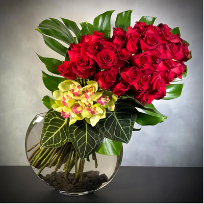 A Chic Symphony with 4 dozen Red Ecuadorian roses and cymbidium orchids in a circular vase, luxury same-day delivery by Beverly Hills Florist.