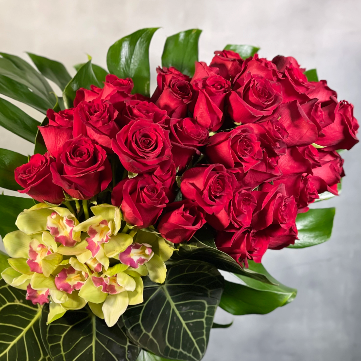 A Chic Symphony with 4 dozen Red Ecuadorian roses and cymbidium orchids in a circular vase, luxury same-day delivery by Beverly Hills Florist.